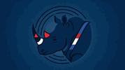 Spinorhino